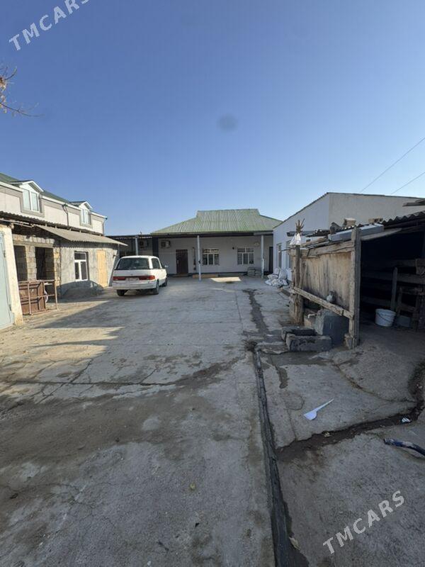 Cogaly satlyk jay - Çoganly - img 4