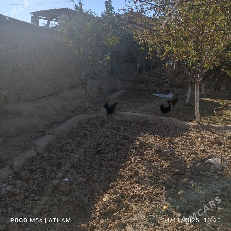 Paroda Gara towuk - Magdanly - img 3