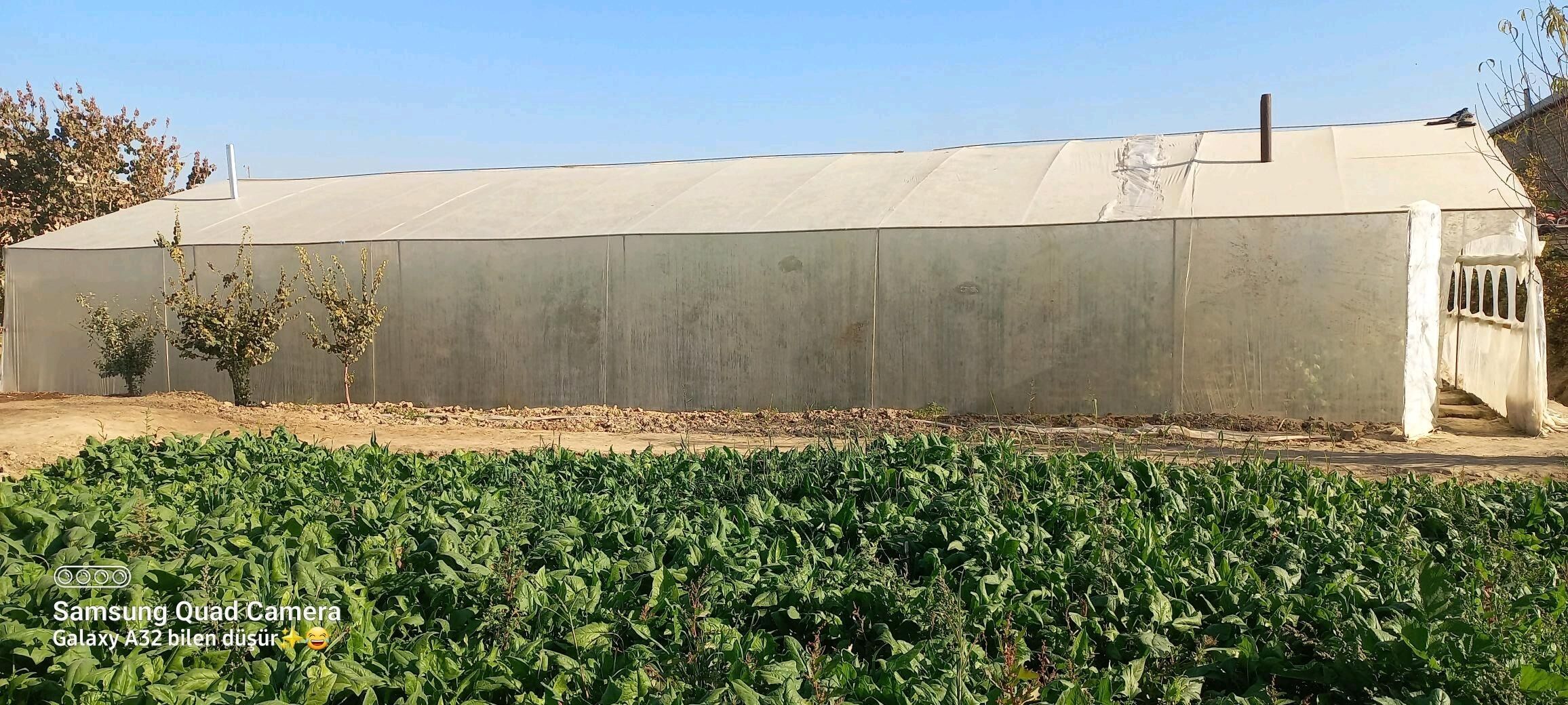 swarka - Мары - img 2