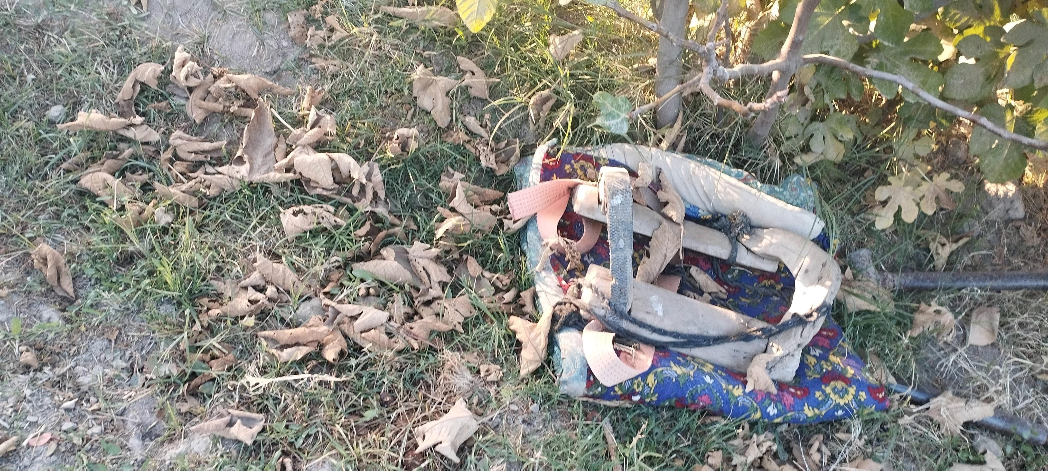 Eşek - Sakarçäge - img 8