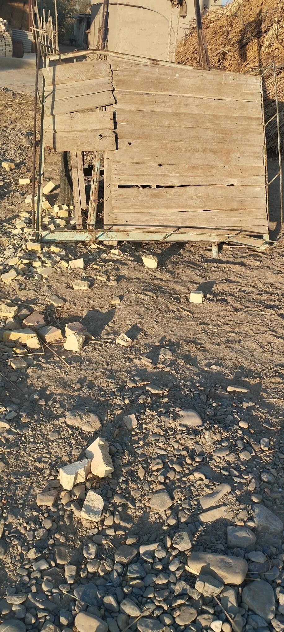 Eşek - Sakarçäge - img 6