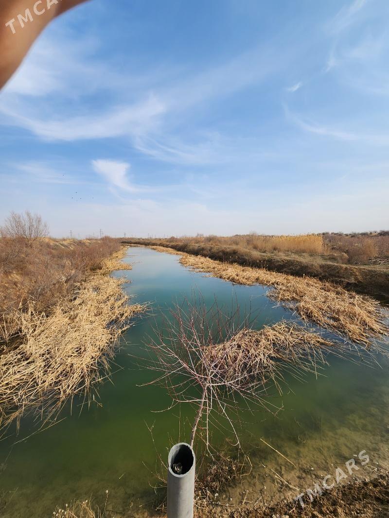 ekin mal yatak - Aşgabat - img 5