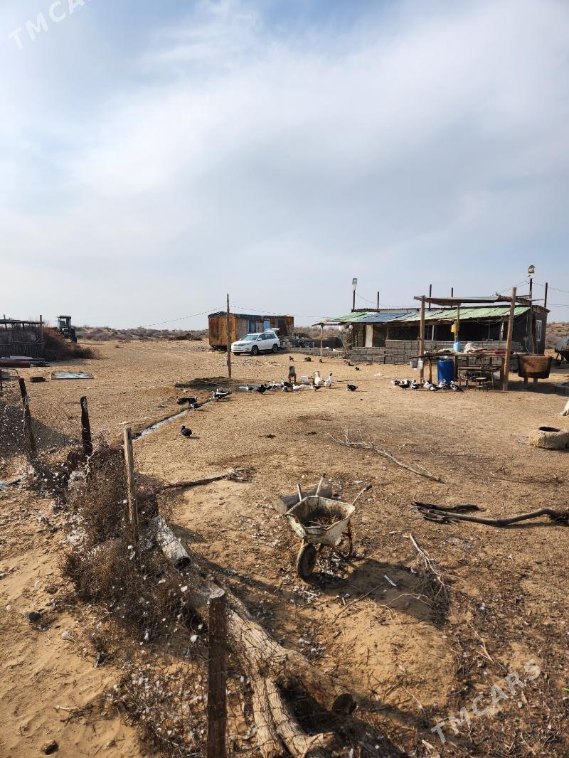 ekin mal yatak - Aşgabat - img 1