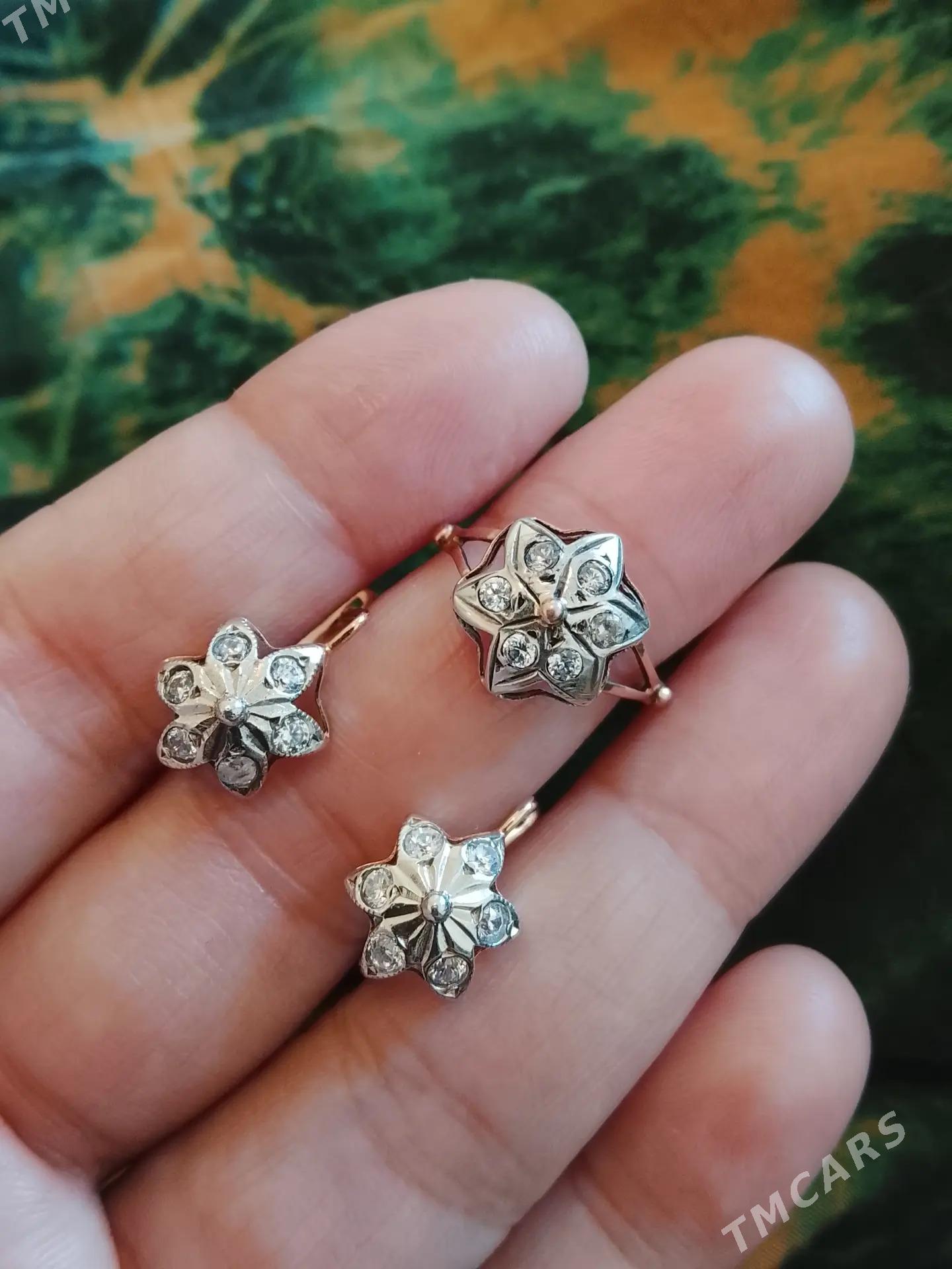 Gyzyl kampilekit - Ашхабад - img 3