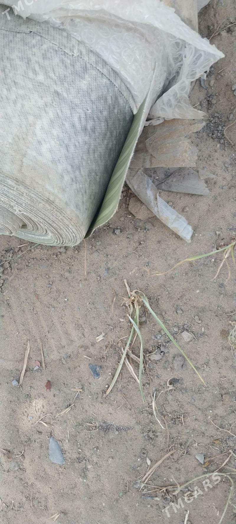 linonym oboy - Багир - img 2