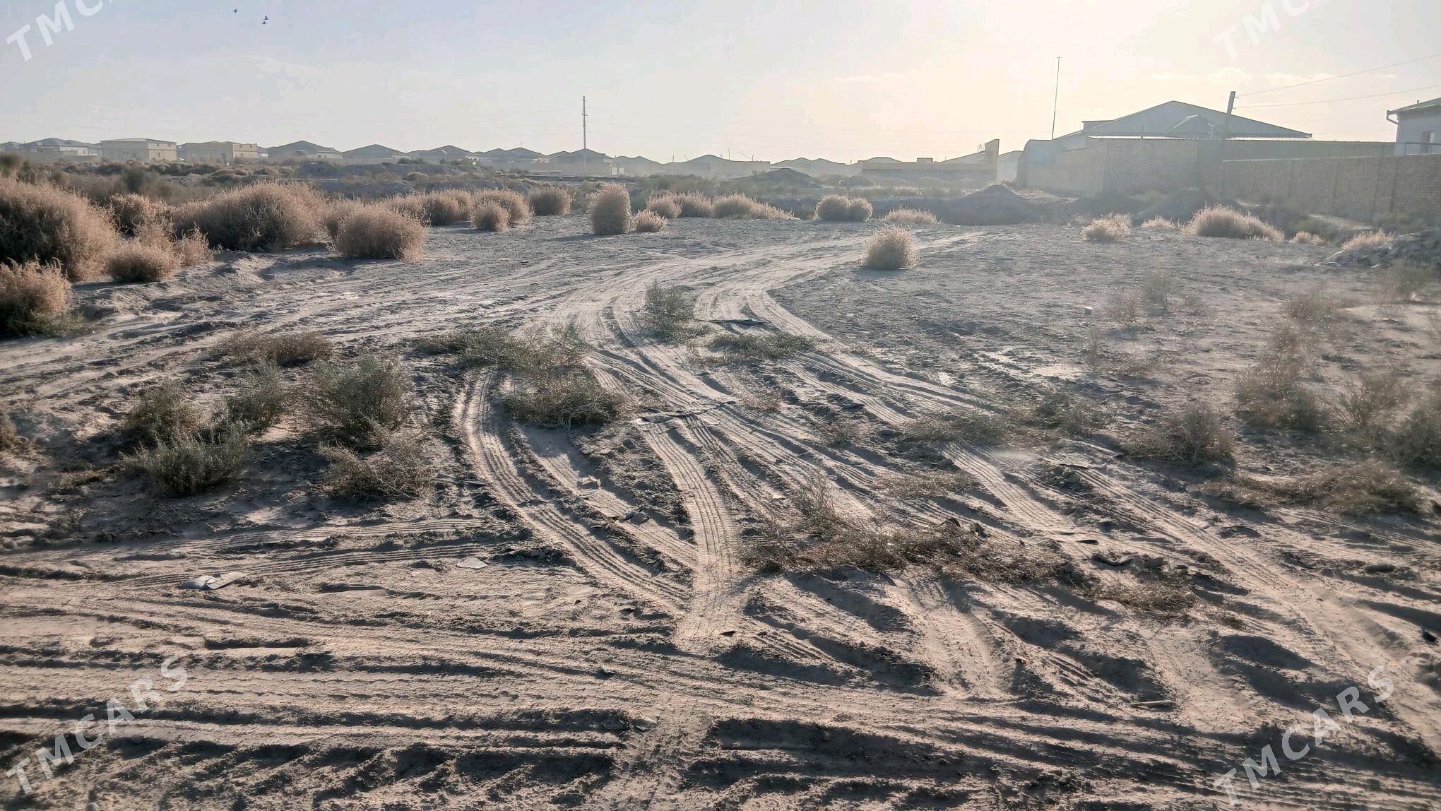 Mellek yer - Daşoguz - img 3