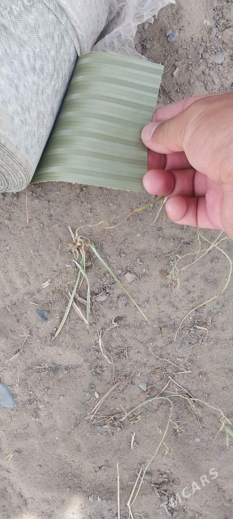 linonym oboy - Багир - img 4