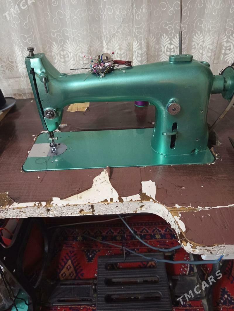 Tikin masyn - Ялкым - img 1