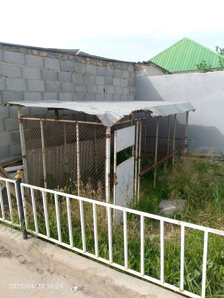 Satlyk Haladynlik Goslar bar - Ашхабад - img 1