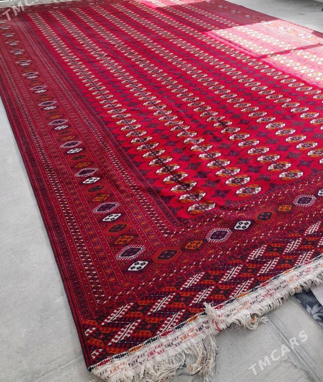 El haly 7,20 / 4,60  33 kw - Aşgabat - img 2