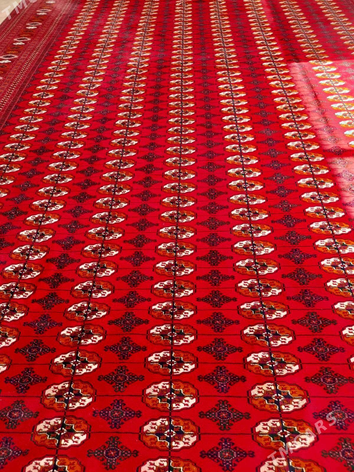 El haly 7,20 / 4,60  33 kw - Aşgabat - img 4