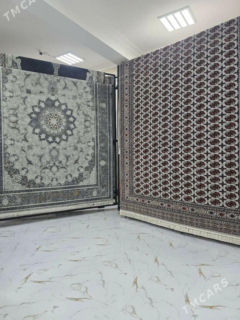 Oguzhan Haly 1 ýyl Kredit - Ýaşlyk - img 7