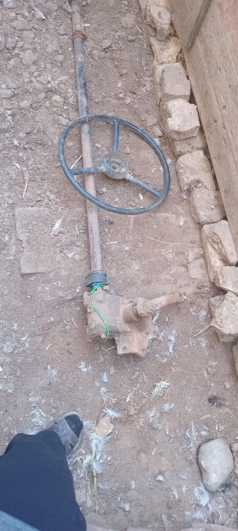 53 yrlawoy 800 TMT - Mary - img 2