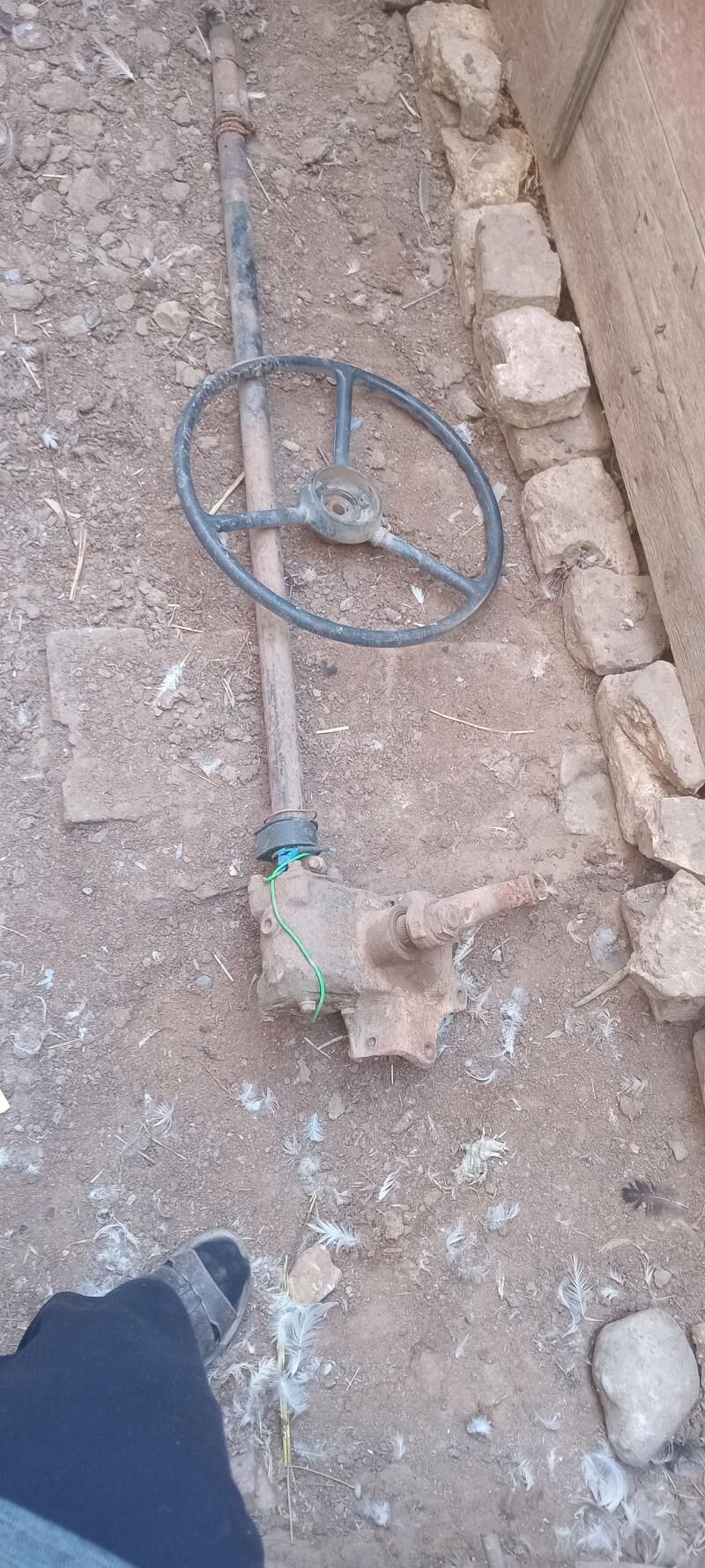 53 yrlawoy 800 TMT - Mary - img 1