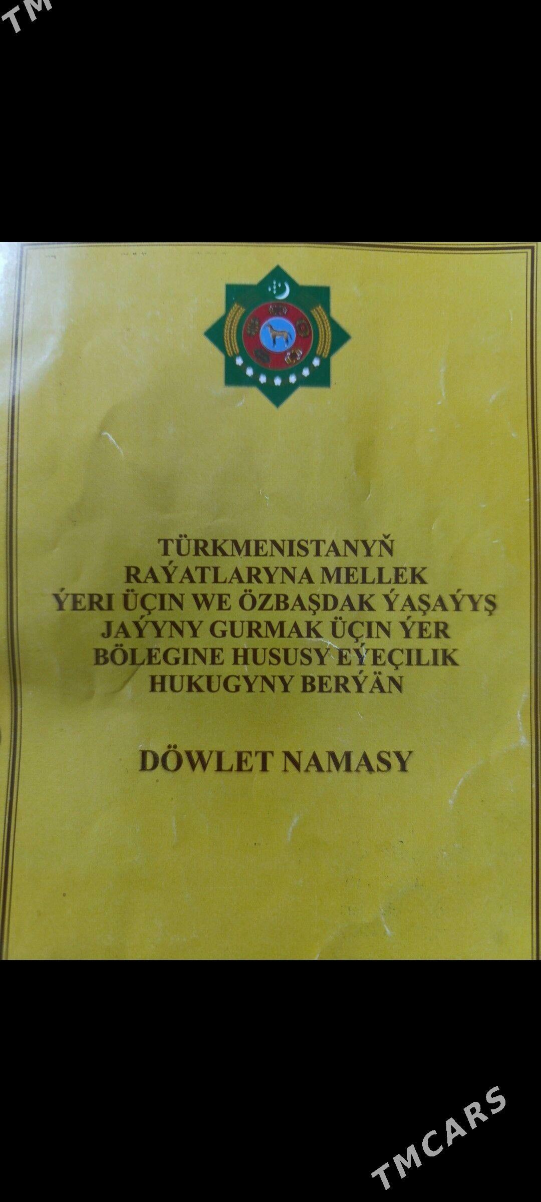 Satlyk Mellek - Sakarçäge - img 1