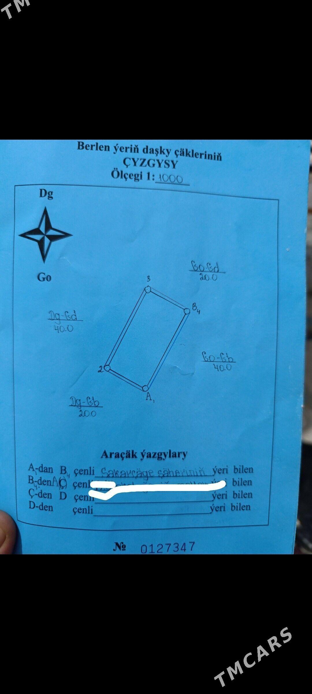 Satlyk Mellek - Sakarçäge - img 2