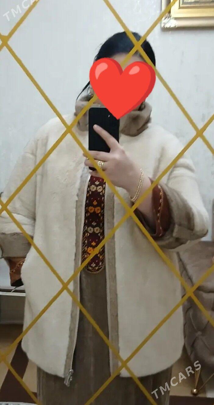 Şuba - Ашхабад - img 1