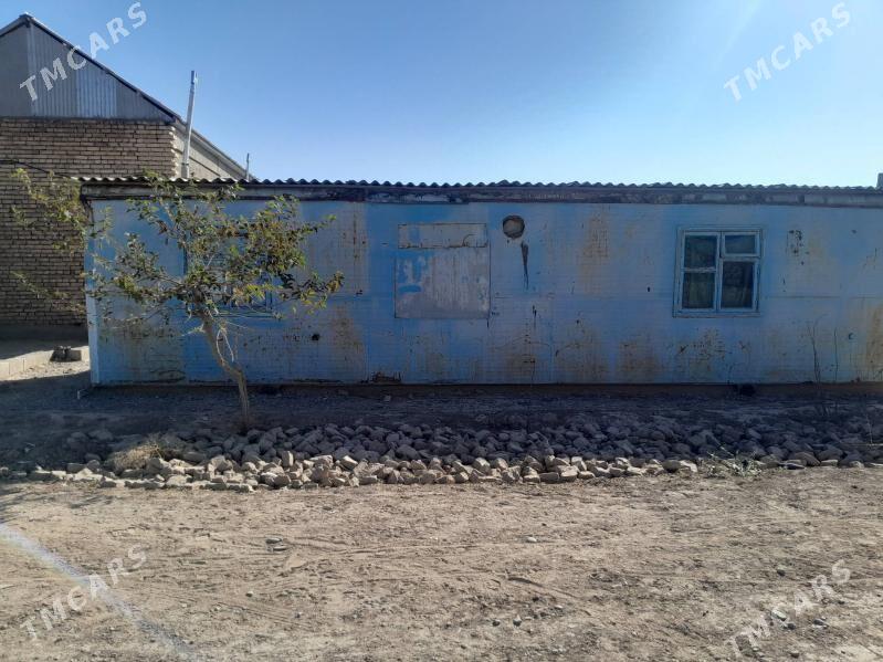 Wagon - Серахс - img 2