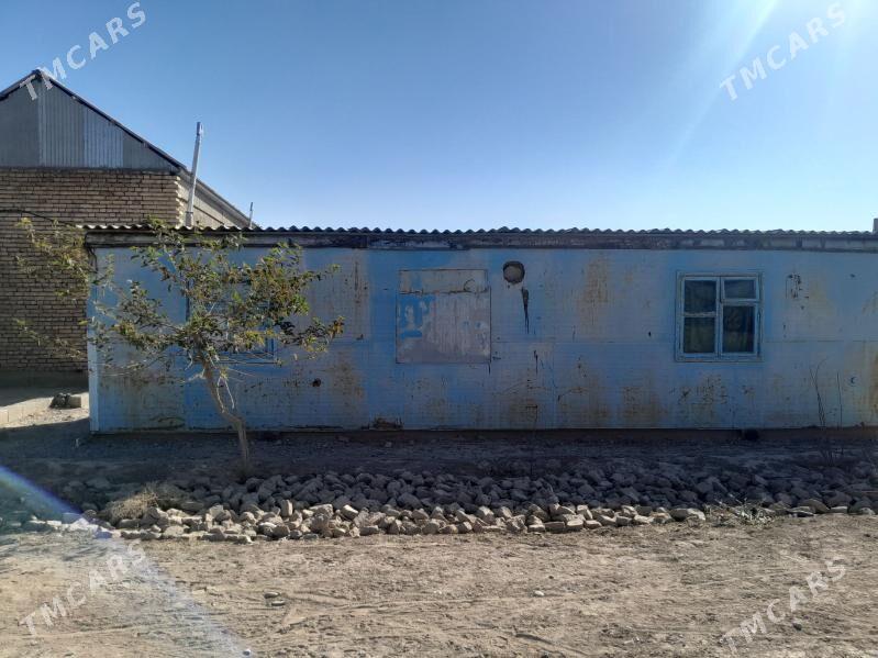 Wagon - Серахс - img 3