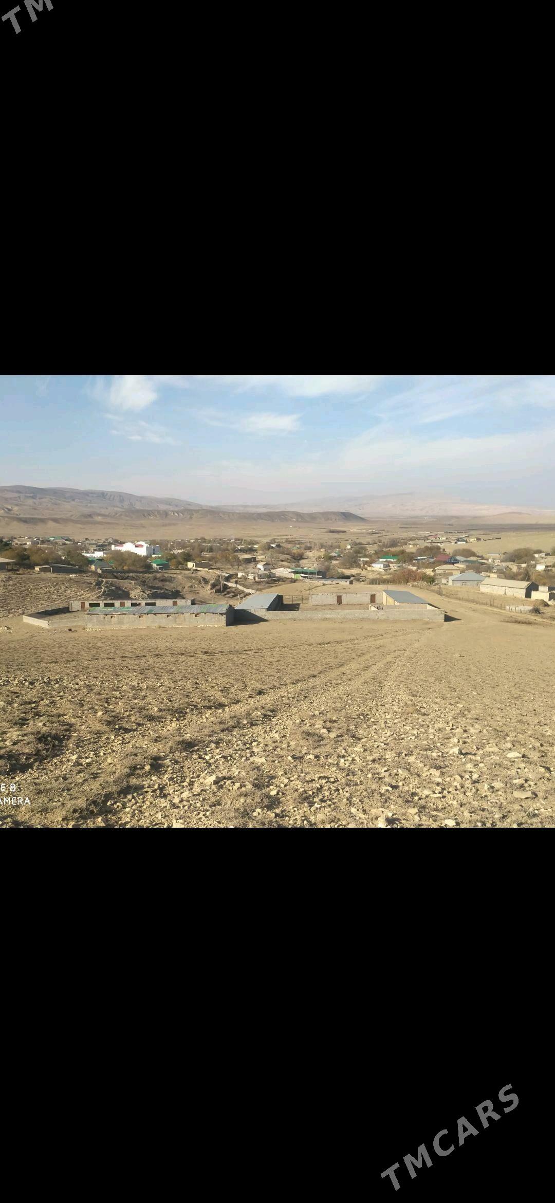 mal ýatak - Bäherden - img 2