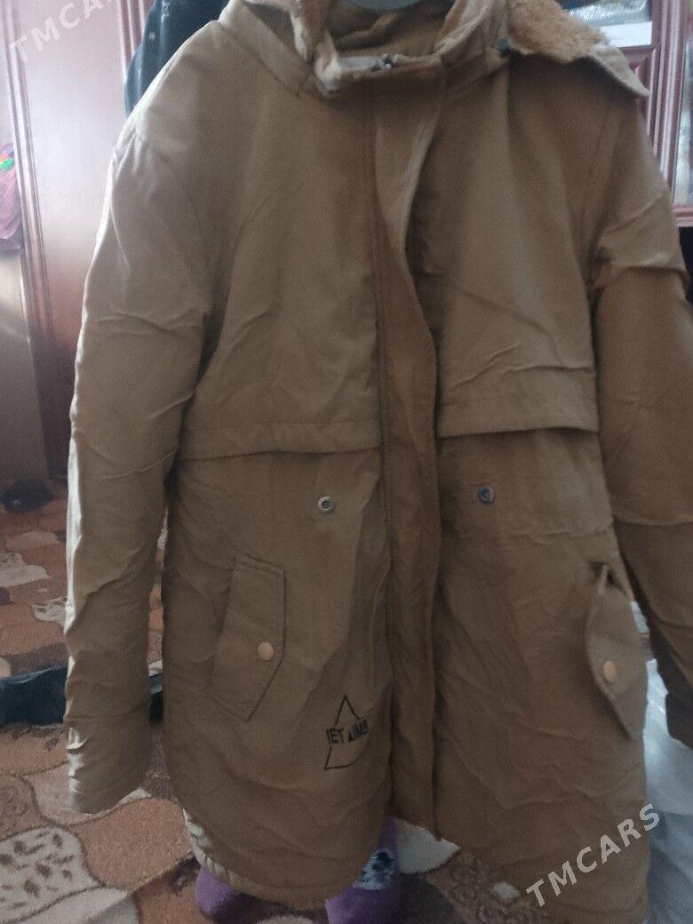 kurtkalar - Туркменабат - img 3