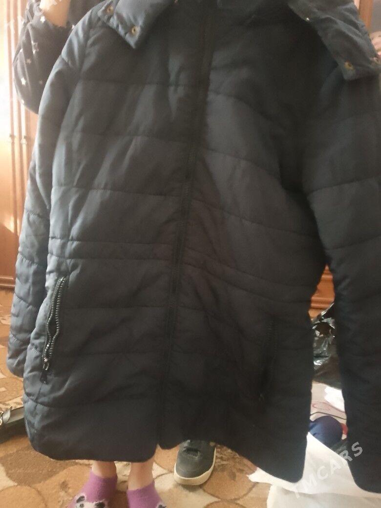 kurtkalar - Туркменабат - img 1