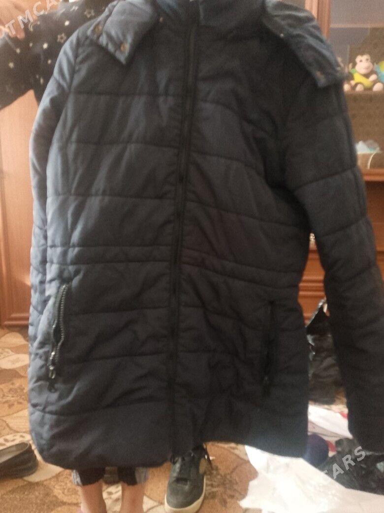 kurtkalar - Туркменабат - img 2