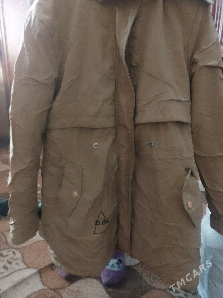 kurtkalar - Туркменабат - img 4