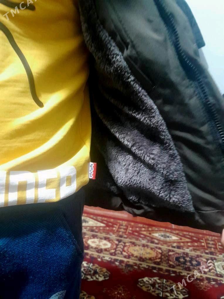 caga kurtka - Köşi - img 4