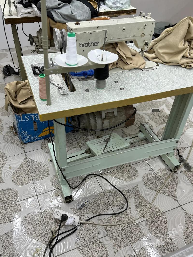 Tikin Mashyn - Mary - img 2