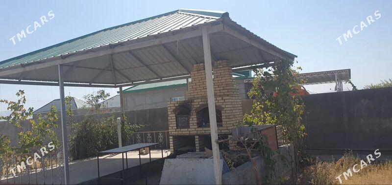 SATLYK PLAN JAÝ - Ak bugdaý etraby - img 2