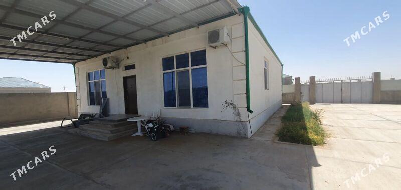 SATLYK PLAN JAÝ - Ak bugdaý etraby - img 4