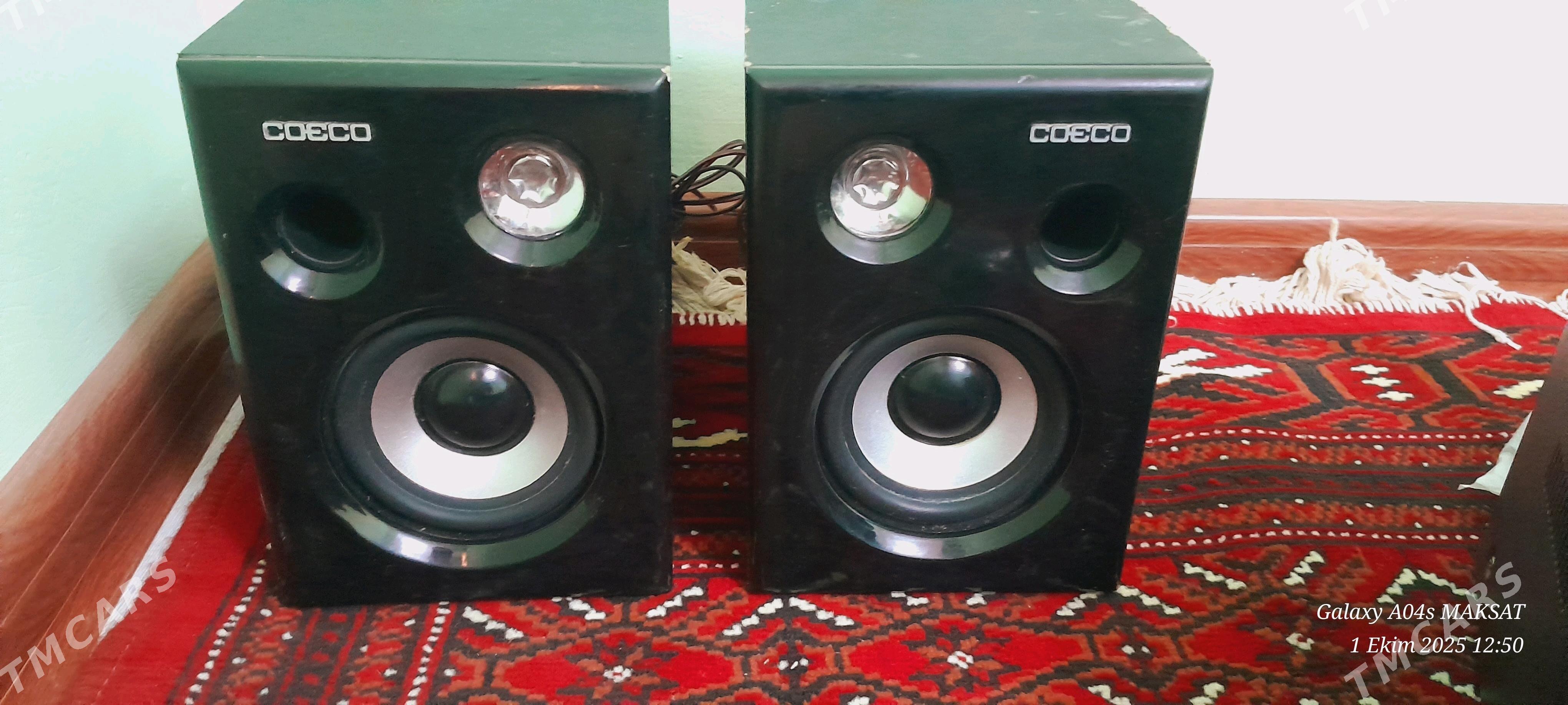 kalonka sentyr - Кака - img 2