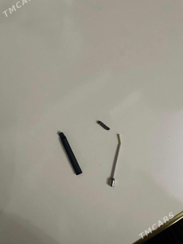 mikro nauşnik - Murgap - img 2