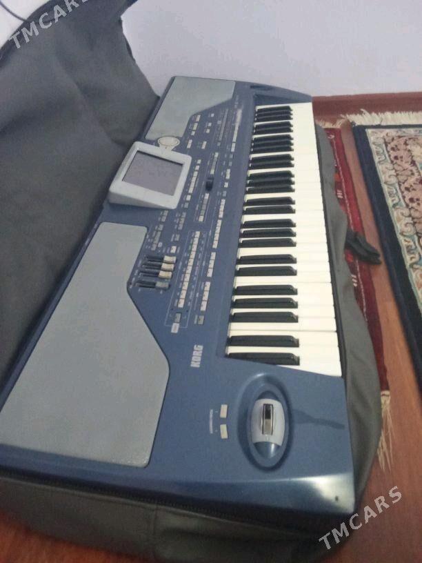 korg pa800 - Bereket - img 2
