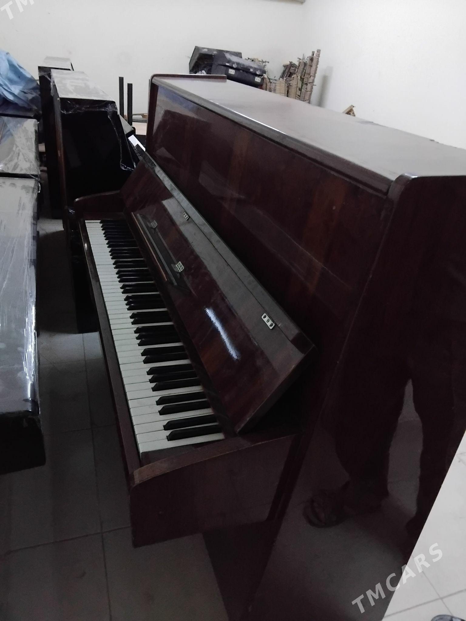 pianino пианино - Aşgabat - img 1