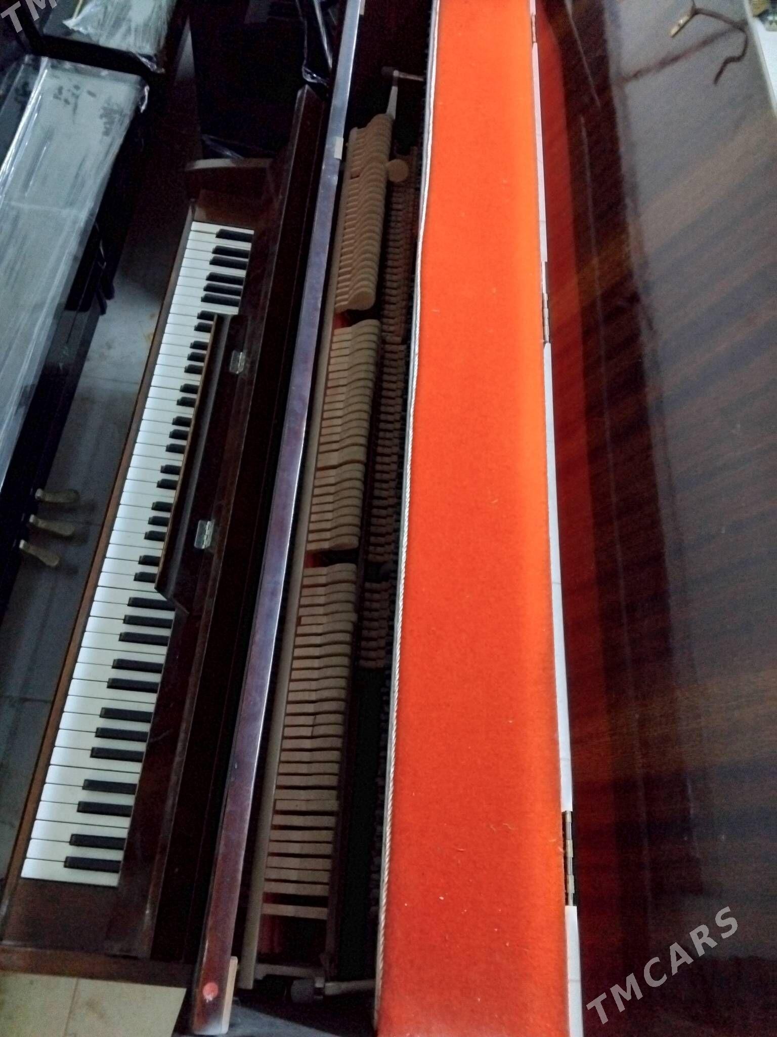 pianino пианино - Aşgabat - img 3