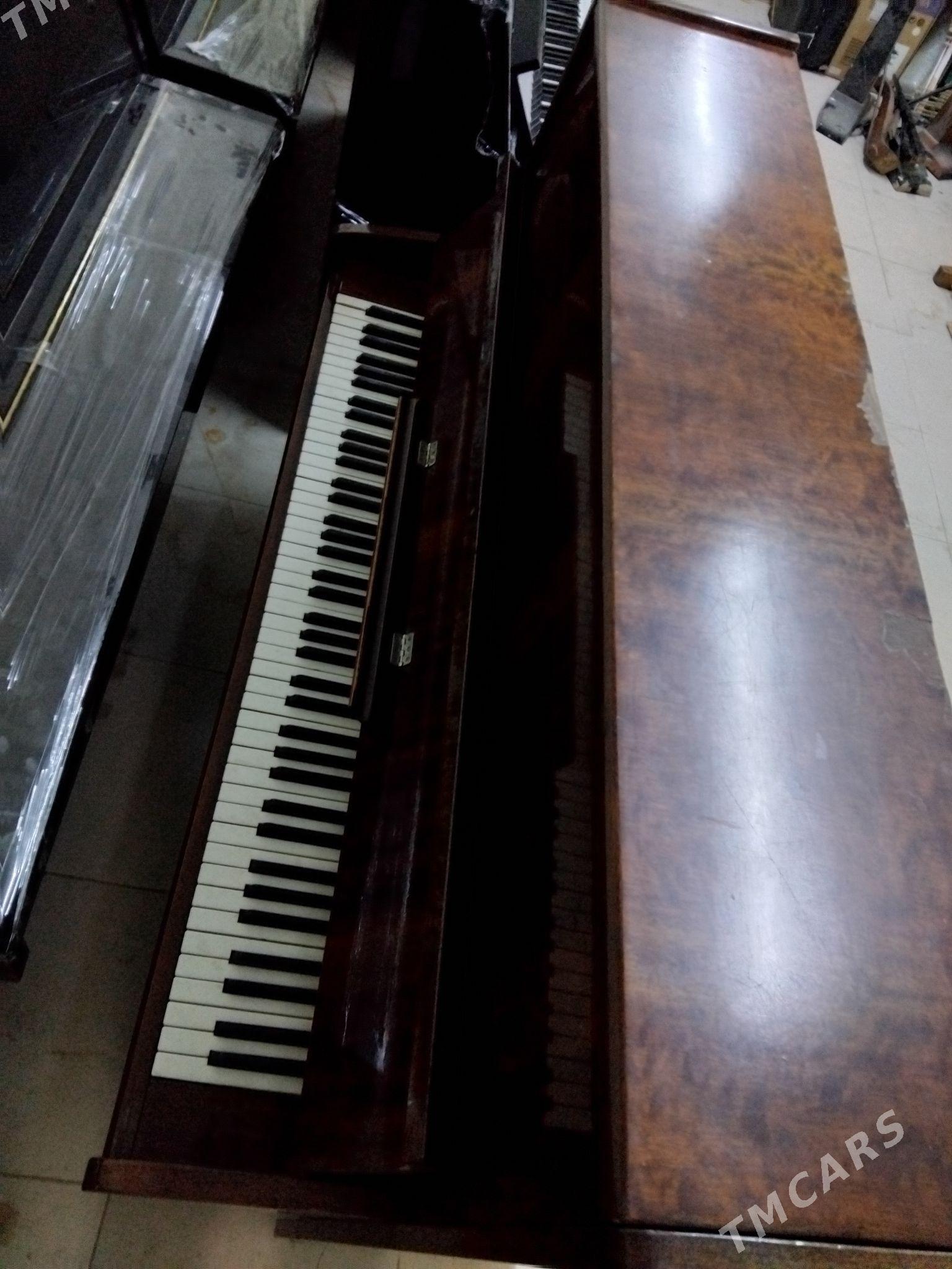 pianino пианино - Aşgabat - img 2