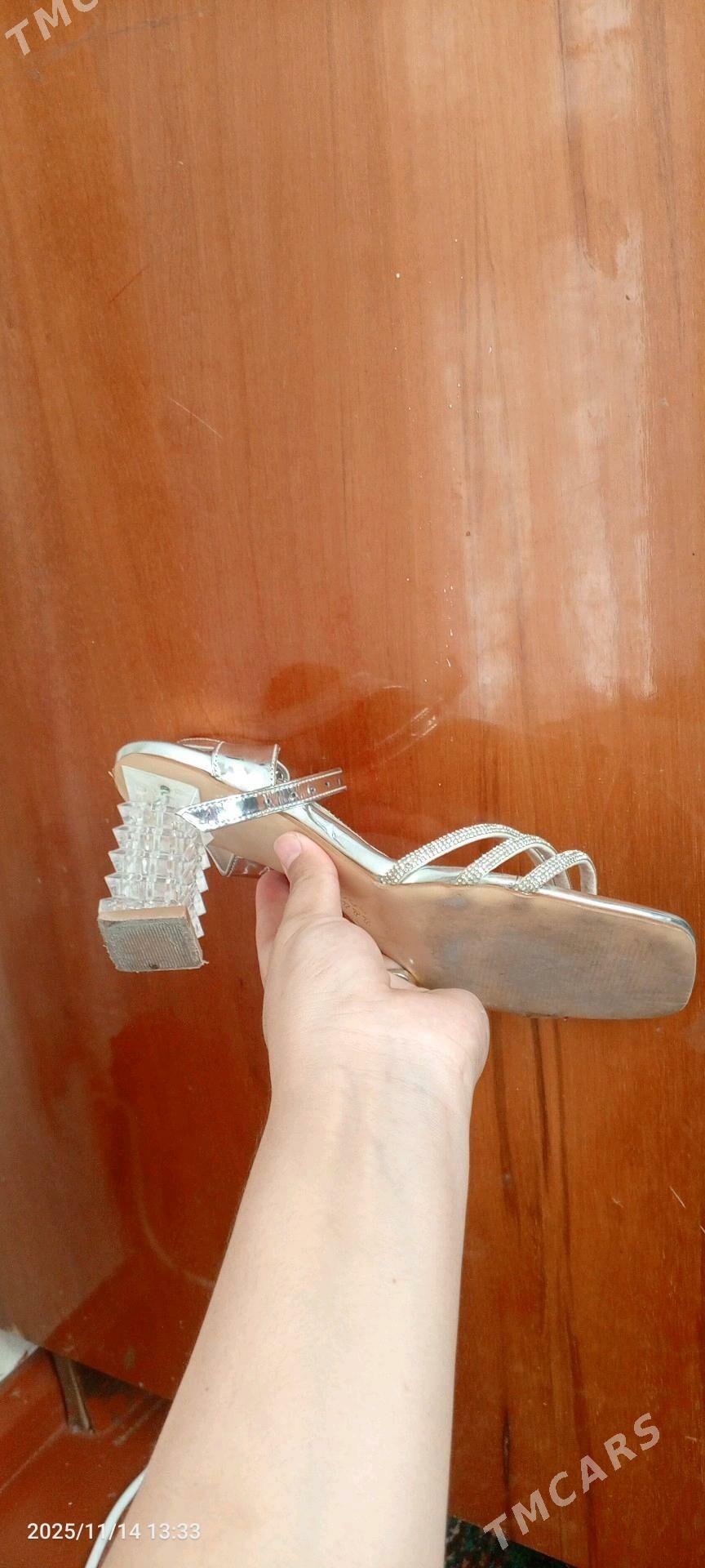 басаношки - Ашхабад - img 2