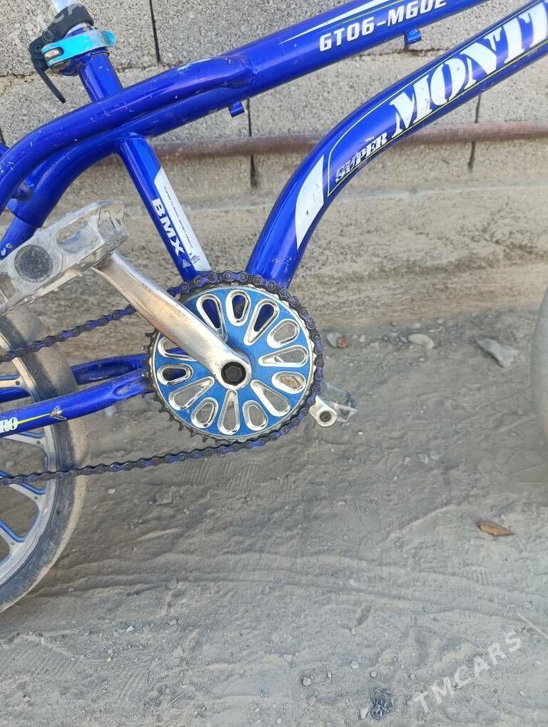 duga tigir - Bäherden - img 2