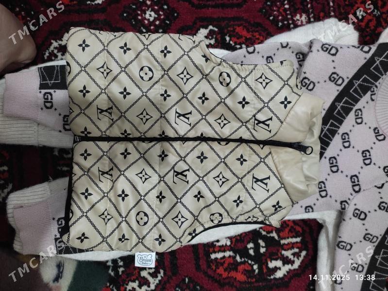 çaga eşijleri - Туркменбаши - img 3