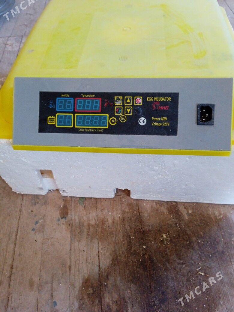 inkibatyr - Kaka - img 2