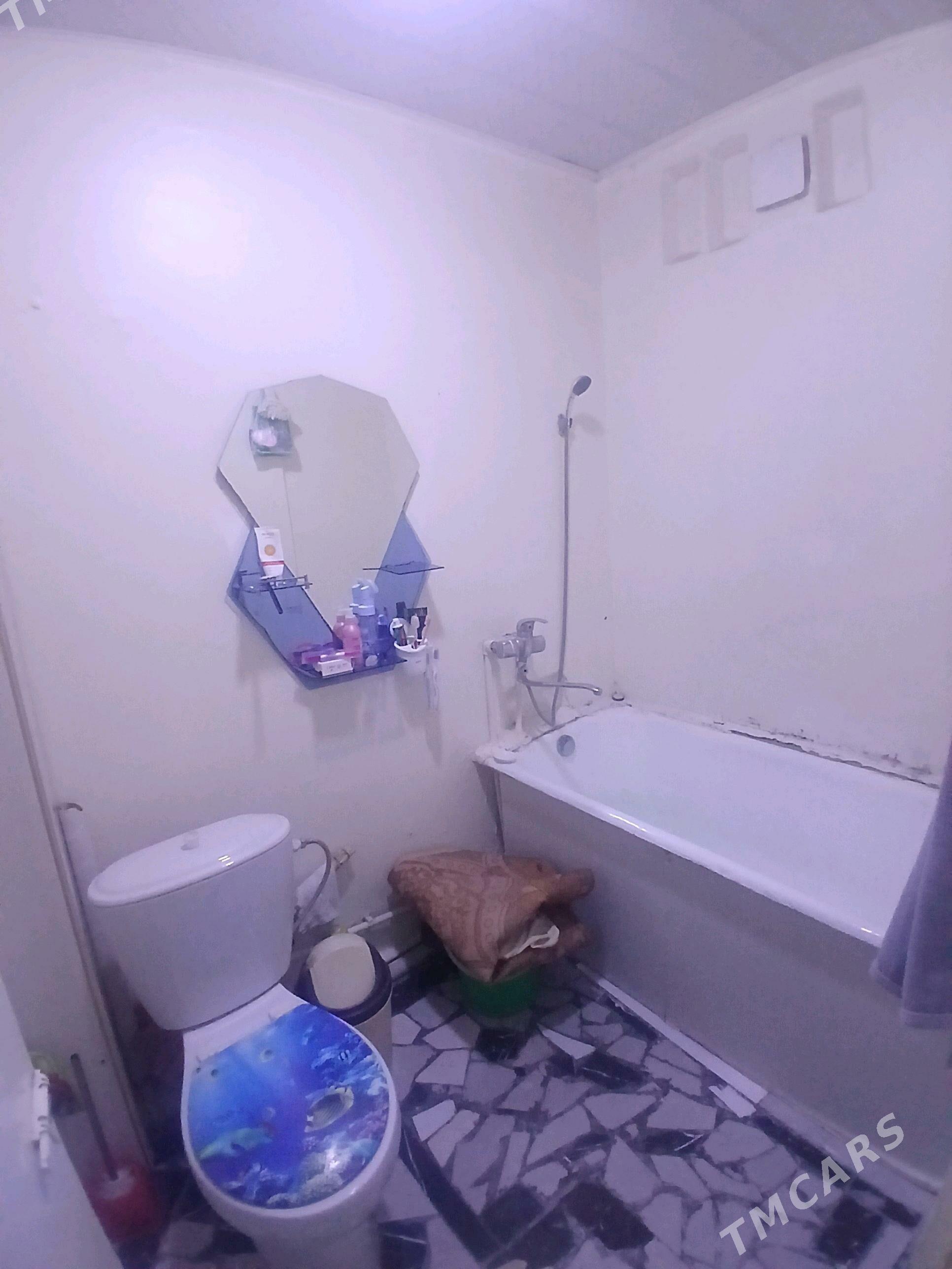 satlyk jay - Mary - img 6