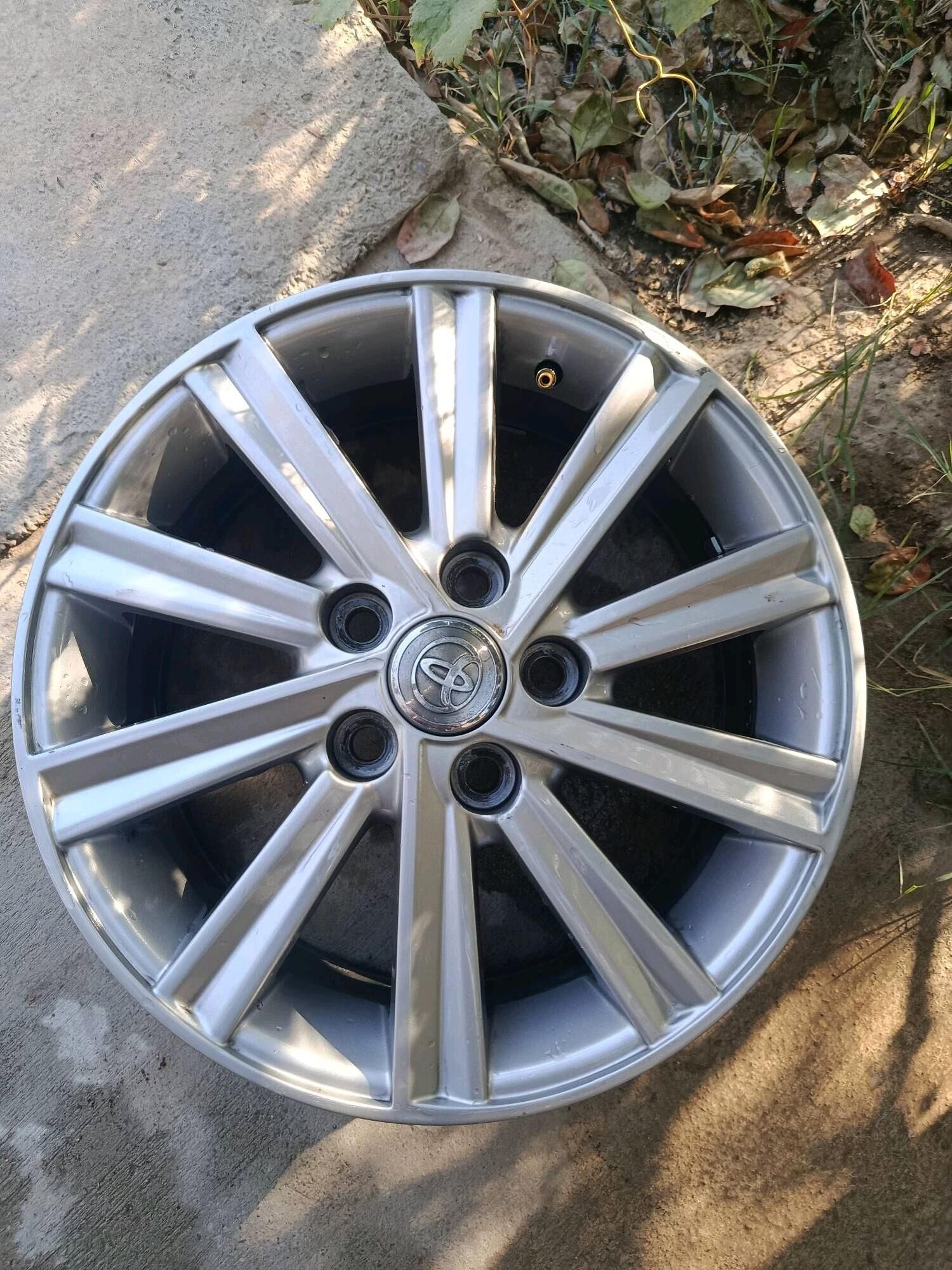 16 lyk xle diska Palta kamry 3 500 TMT - Aşgabat - img 2