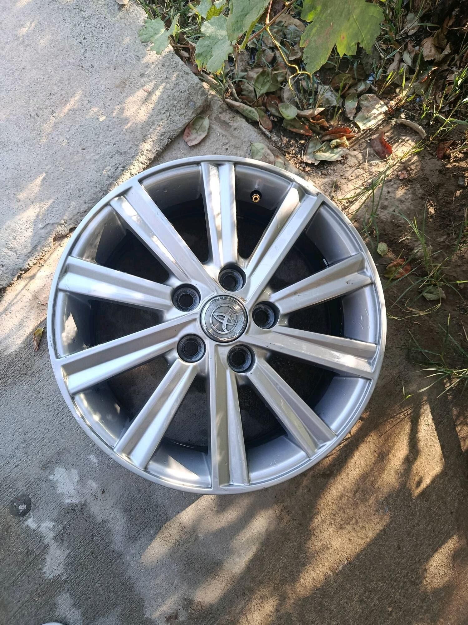 16 lyk xle diska Palta kamry 3 500 TMT - Aşgabat - img 4