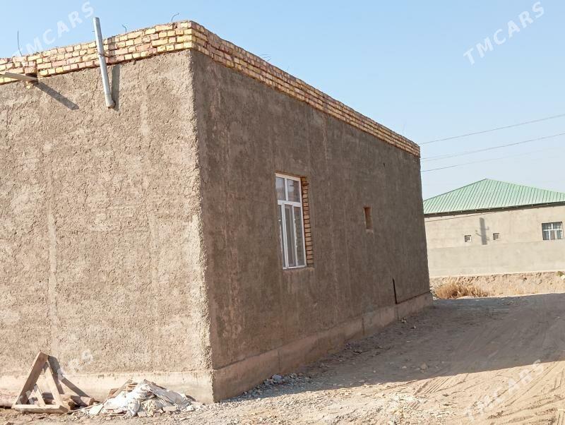 suvag usta - Daşoguz - img 1