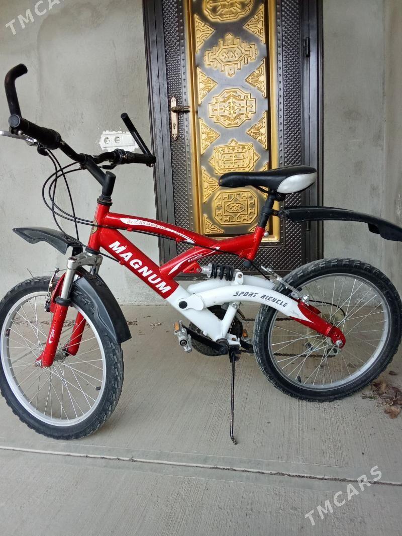 тигир - Ак-Бугдайский этрап - img 1