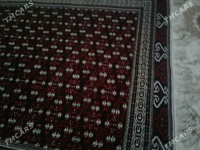 Haly - Bereket - img 3