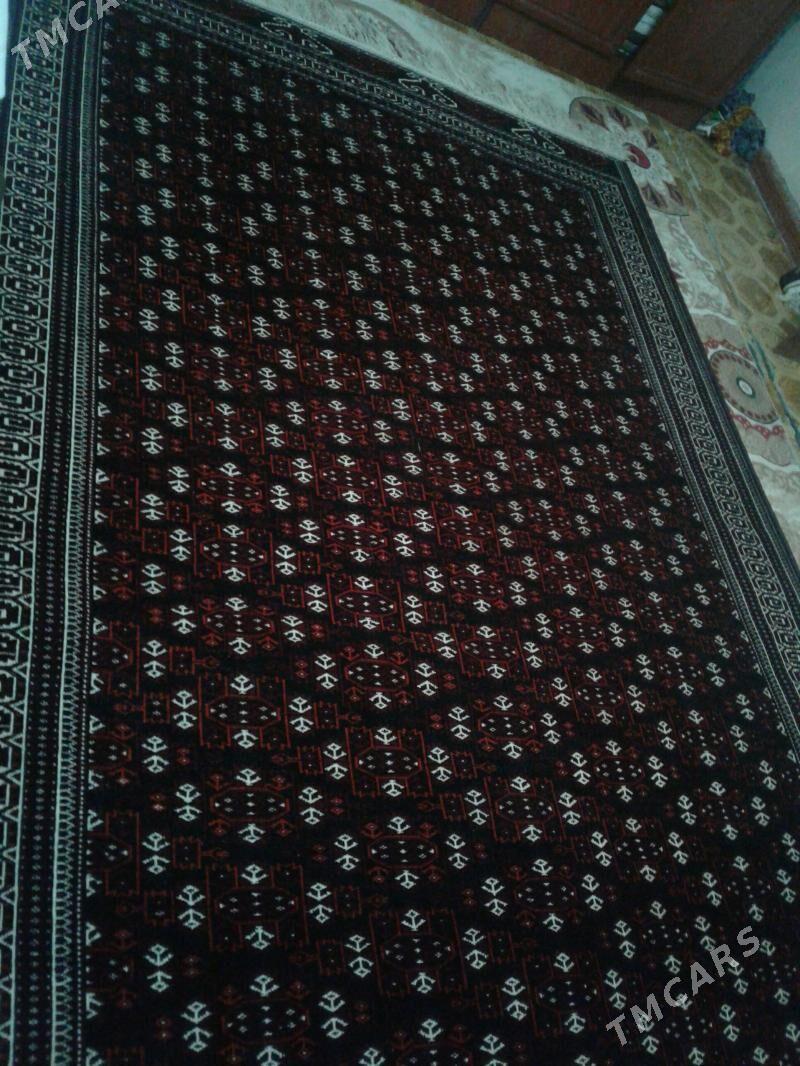 Haly - Bereket - img 1