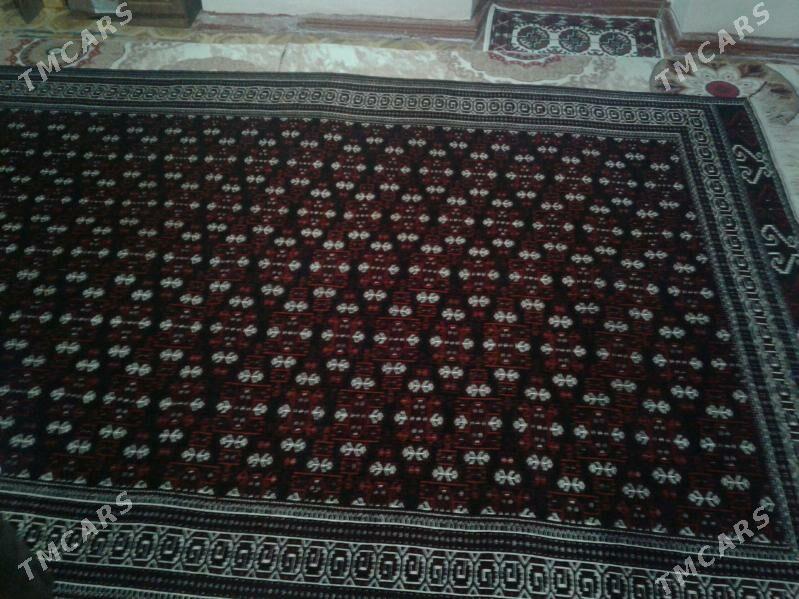 Haly - Bereket - img 2